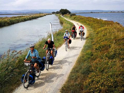 Camping Crin Blanc - Camping Bouches-du-Rhône