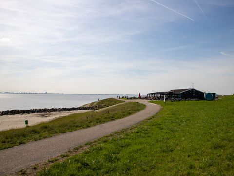 Camping Scheldeoord - Camping Borsele - Image N°30
