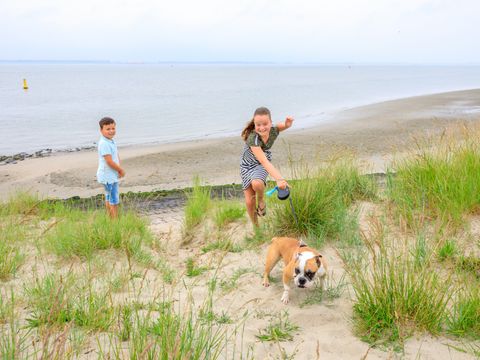 Camping Scheldeoord - Camping Borsele - Image N°32