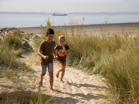 Camping Scheldeoord - Camping Borsele - Image N°2