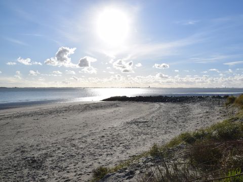 Camping Scheldeoord - Camping Borsele - Image N°34