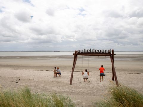 Camping Scheldeoord - Camping Borsele - Image N°26