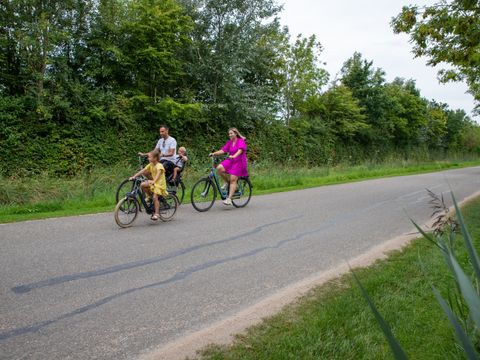 Camping Scheldeoord - Camping Borsele - Image N°27