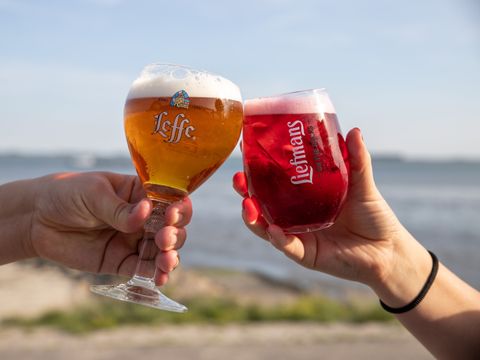 Camping Scheldeoord - Camping Borsele