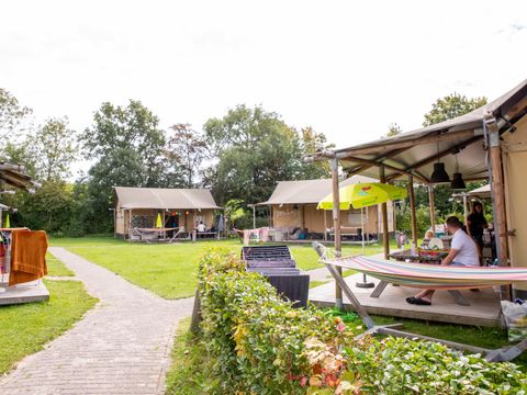 Camping Scheldeoord - Camping Borsele - Image N°14