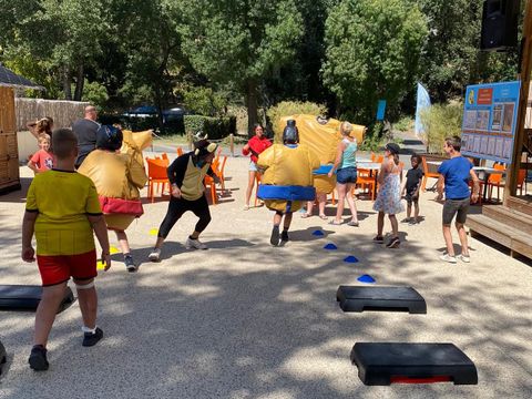 Camping Domaine de Gaujac - Camping Paradis - Camping Gard