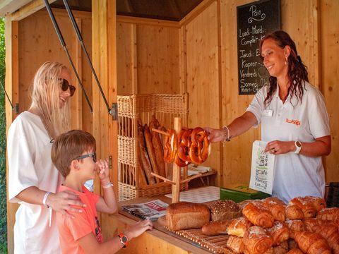 Camping Le Ried   - Camping Bas-Rhin