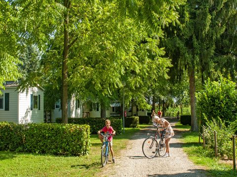 Camping Le Ried   - Camping Bas-Rhin