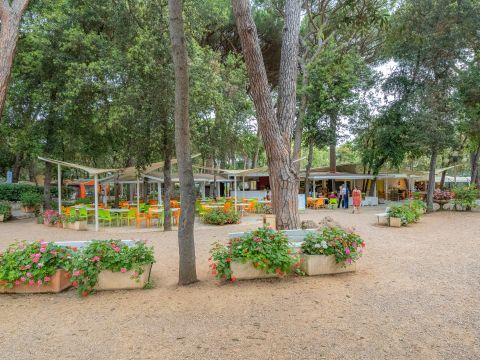 Camping Etruria - Camping Livourne