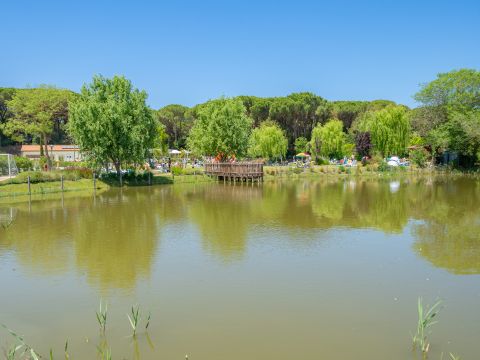 Camping Etruria - Camping Livourne