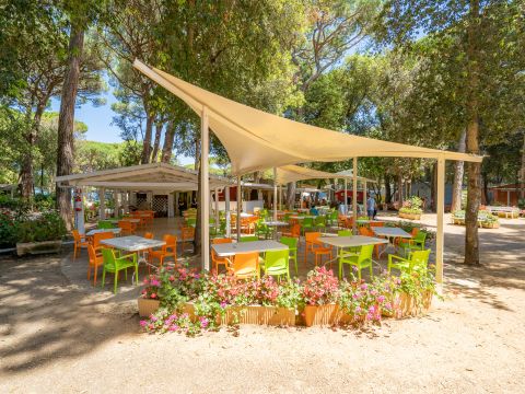 Camping Etruria - Camping Livourne
