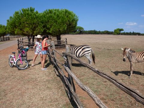 Camping Bi Village  - Camping Istrie