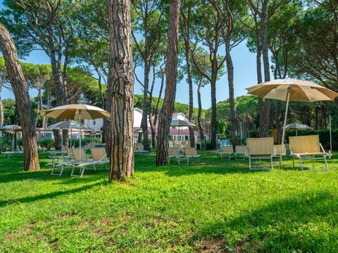 Club del Sole Jesolo Familiy Village Family Resort - Camping Venise