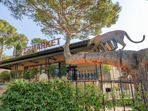 Camping Castell Montgri - Camping Gérone