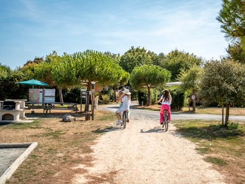 Camping Paradis Au port de l'houmeau - Camping Charente-Maritime