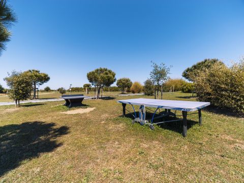 Camping Paradis Au port de l'houmeau - Camping Charente-Maritime