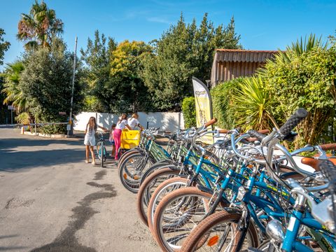 Camping Paradis Au port de l'houmeau - Camping Charente-Maritime