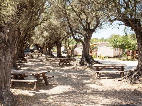 Camping La Baie des Anges - Camping Bouches-du-Rhône