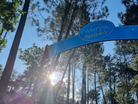 Camping Paradis - Bois Simonet - Camping Ardèche