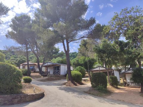 Camping Versants (anciennement Parc des Chênes) - Camping Var - Image N°3
