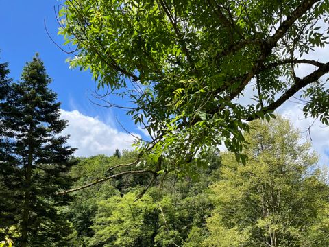Camping La Roche - Camping Luxembourg