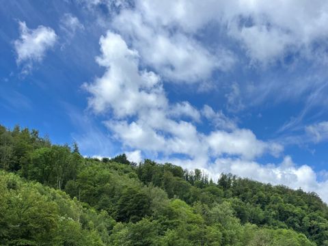 Camping La Roche - Camping Luxembourg - Image N°5