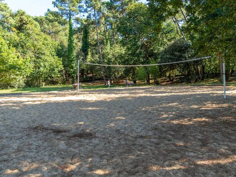 Camping Palmyre Loisirs  - Camping Charente-Maritime