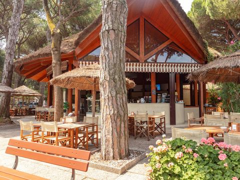 Camping Mare e Pineta - Camping Ferrare