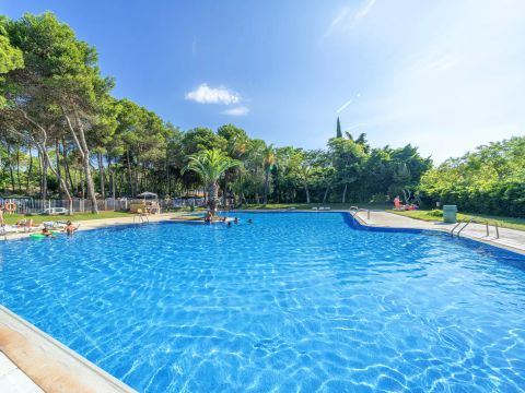 Camping Santa Elena Ciutat - Camping Gérone - Image N°2
