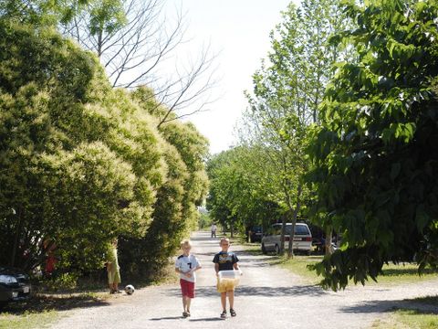 Camping Durance Luberon - Camping Bouches-du-Rhône