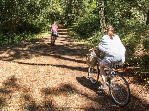 Pineta Family Camping Village - Camping Ravenne