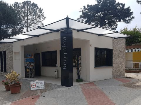 Pineta Family Camping Village - Camping Ravenne