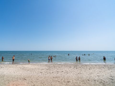 Pineta Family Camping Village - Camping Ravenne