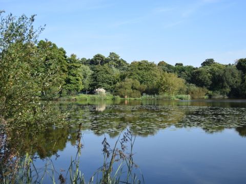 Camping Landae - Camping Landes