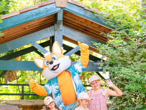 Camping Landae - Camping Landes