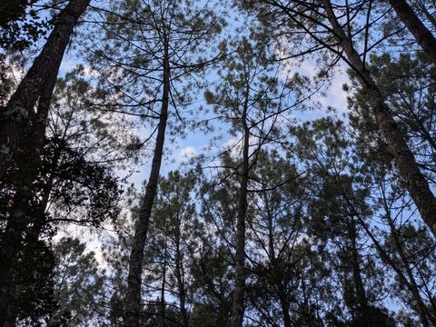 Camping Landae - Camping Landes