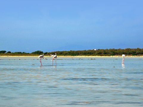 Camping Bella Sardinia - Camping Oristano