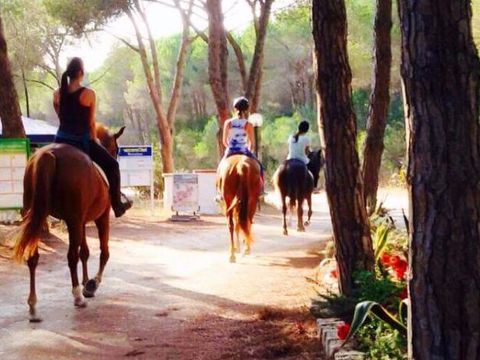 Camping Bella Sardinia - Camping Oristano