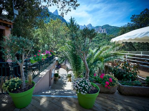 Camping Les Oliviers - Camping Corse du Sud