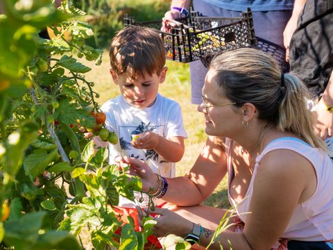 Camping SUNELIA Les Sablons - Camping Hérault