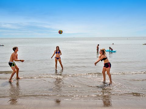 Rosapineta Camping Village - Camping Rovigo