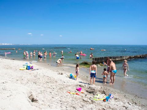 Rosapineta Camping Village - Camping Rovigo