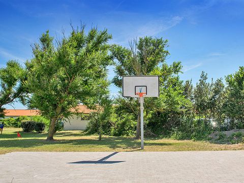 Rosapineta Camping Village - Camping Rovigo
