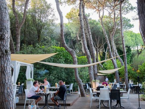 Rosapineta Camping Village - Camping Rovigo