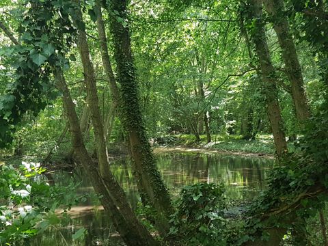 Camping  Le Parc des Roches - Camping Essonne