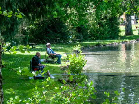 Camping les Etangs de Plessac  - Camping Dordogne