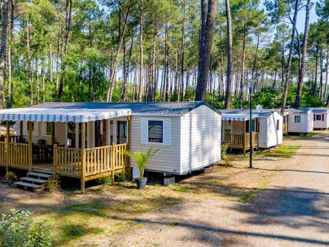 Camping Siblu Les Dunes De Contis - Funpass inclus - Camping Landes - Image N°3