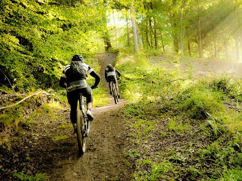 Camping l'Orée des Cévennes - Camping Gard