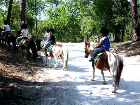 Camping Le Logis  - Camping Charente-Maritime