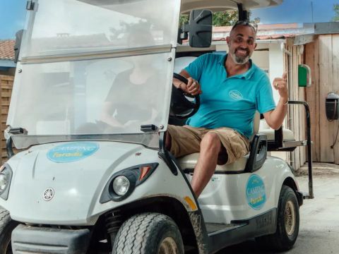 Camping Paradis les Pins - Royan - Camping Charente-Maritime